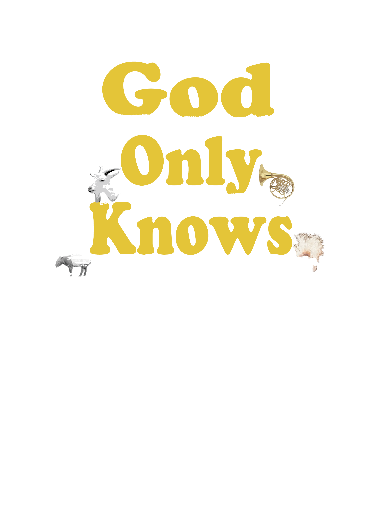 God Only Knows 神のみぞ知る (デラックス ブラック)（©PHSG