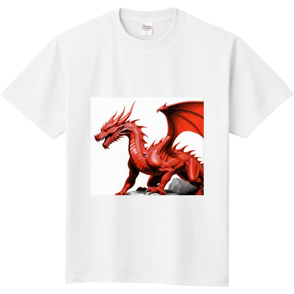 肩幅55身幅56着丈74red dragon レッドドラゴン　tシャツ