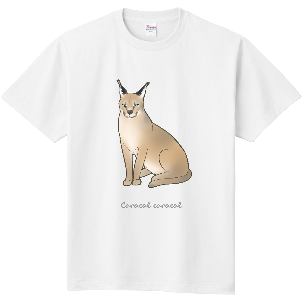 【寄付】カラカルTシャツ