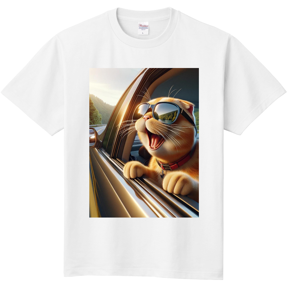 サングラス猫のドライブ