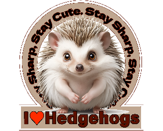 Stay Sharp, Stay Cute2 ハリネズミ パーカー（Anichiの軽量プル