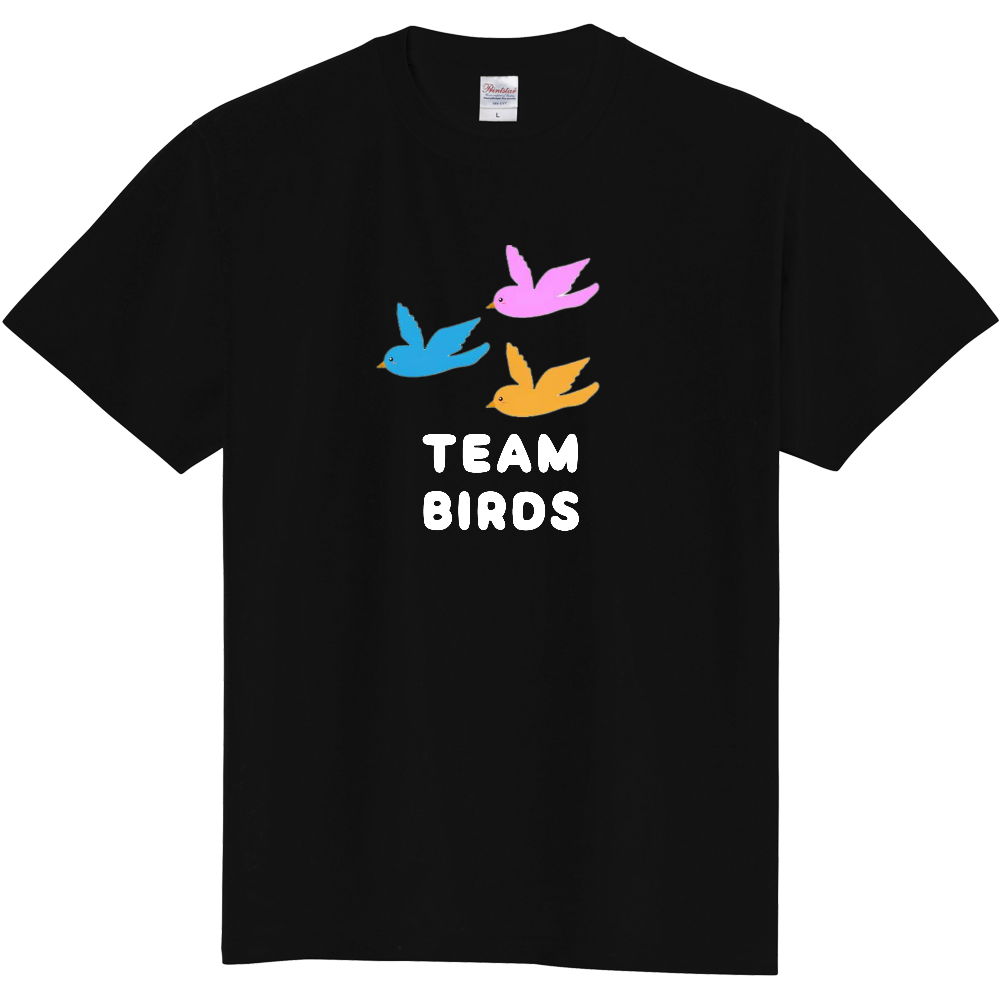 TEAM BIRDS
