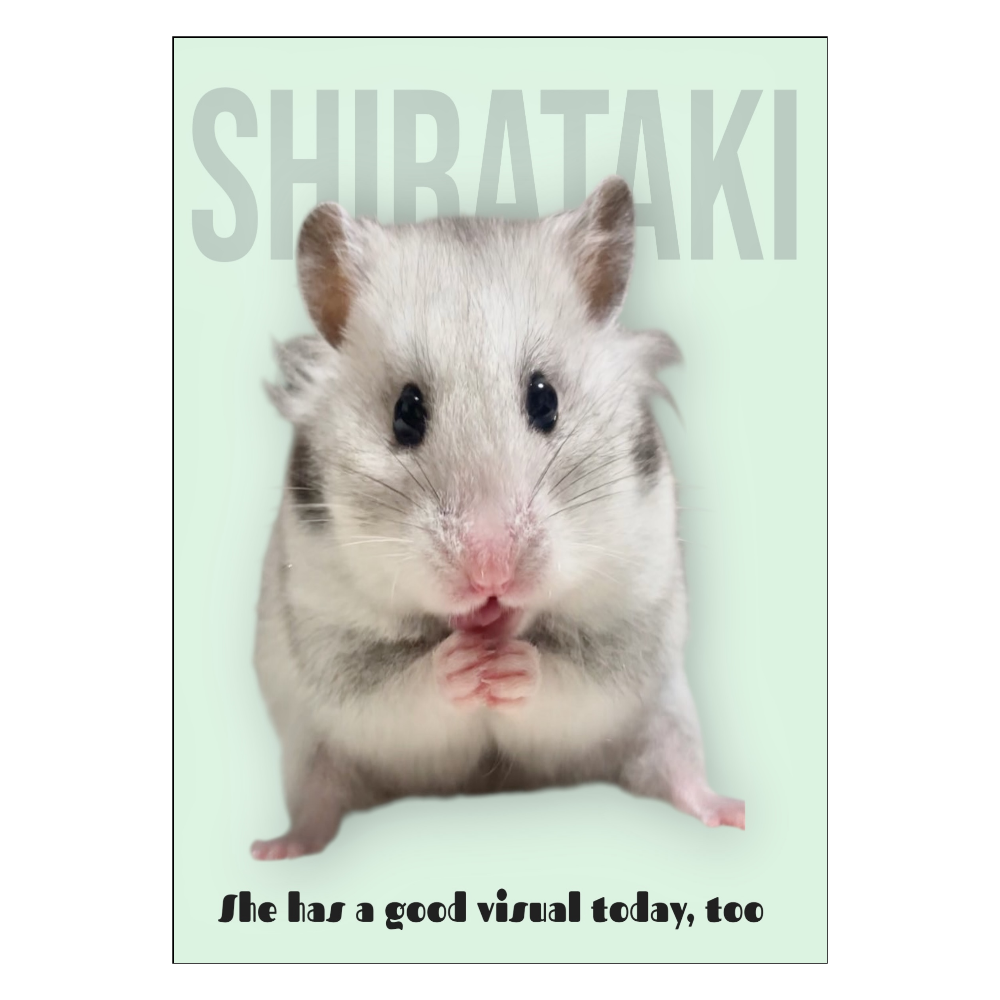 ビジュ良きしらたきお嬢ポスター