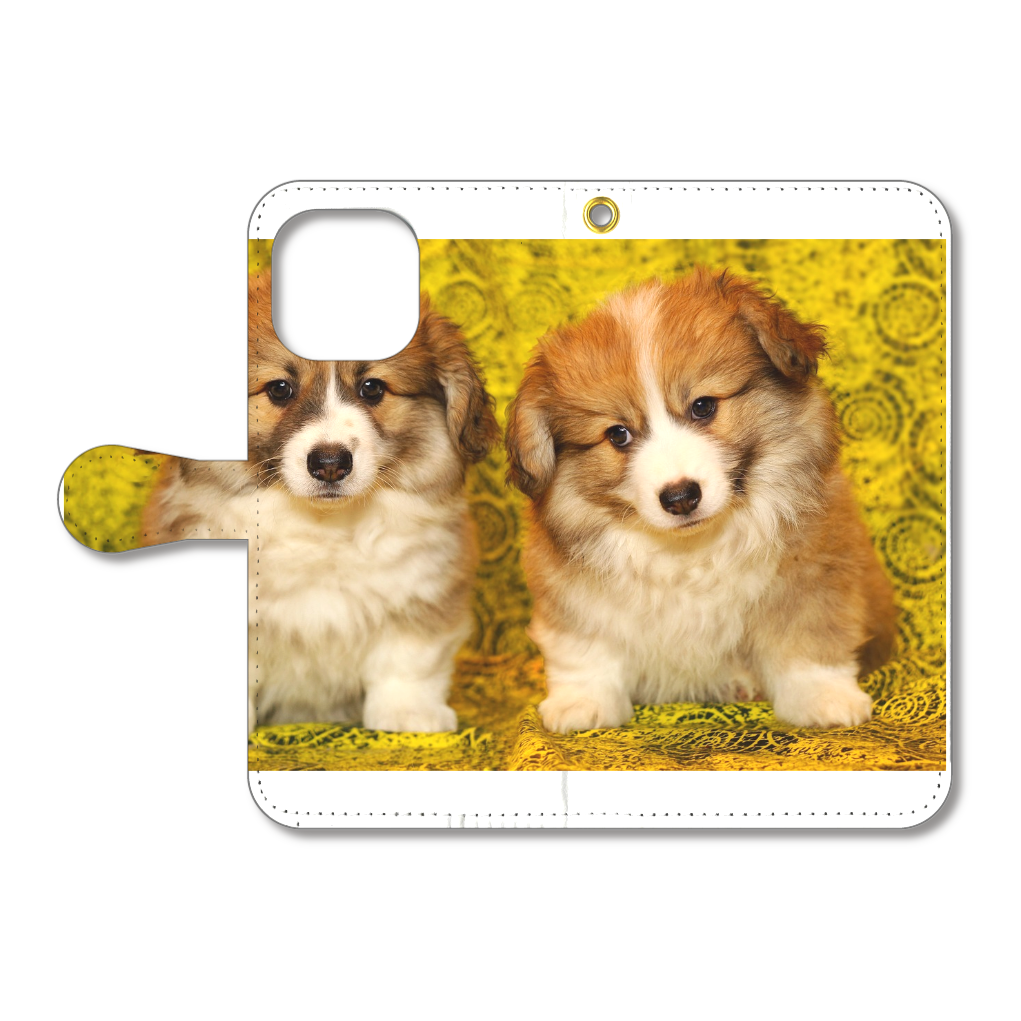 2匹のわんちゃん