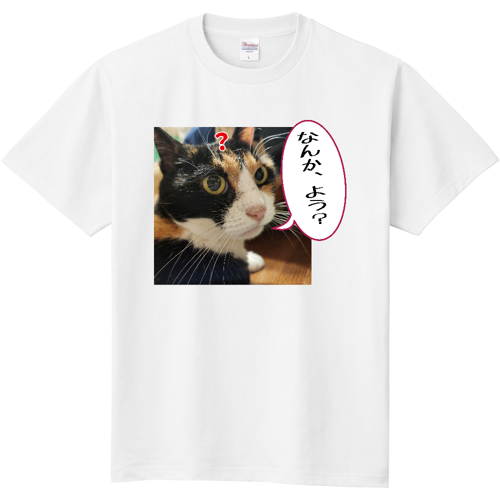 茶々T なんかよう?