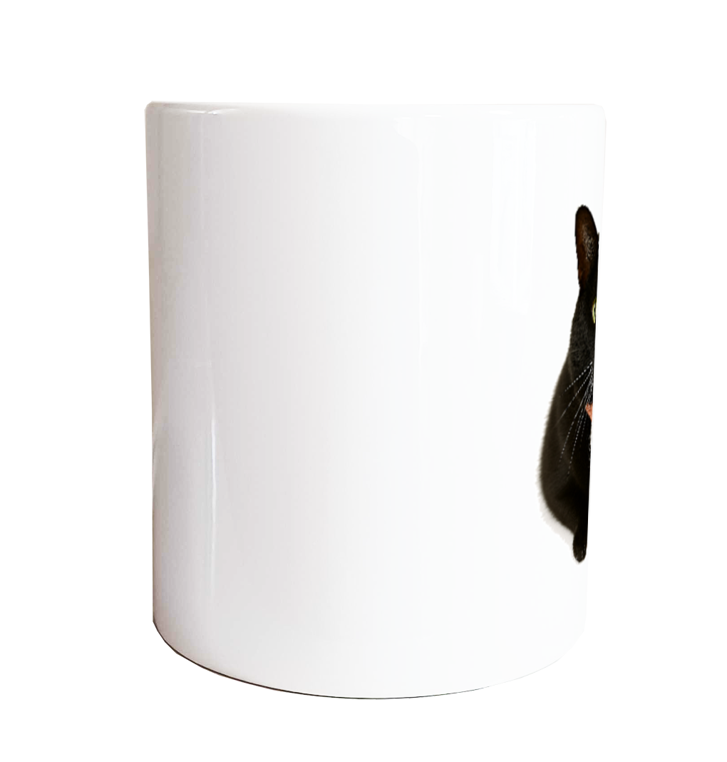 NS2509-09（定番マグカップ）