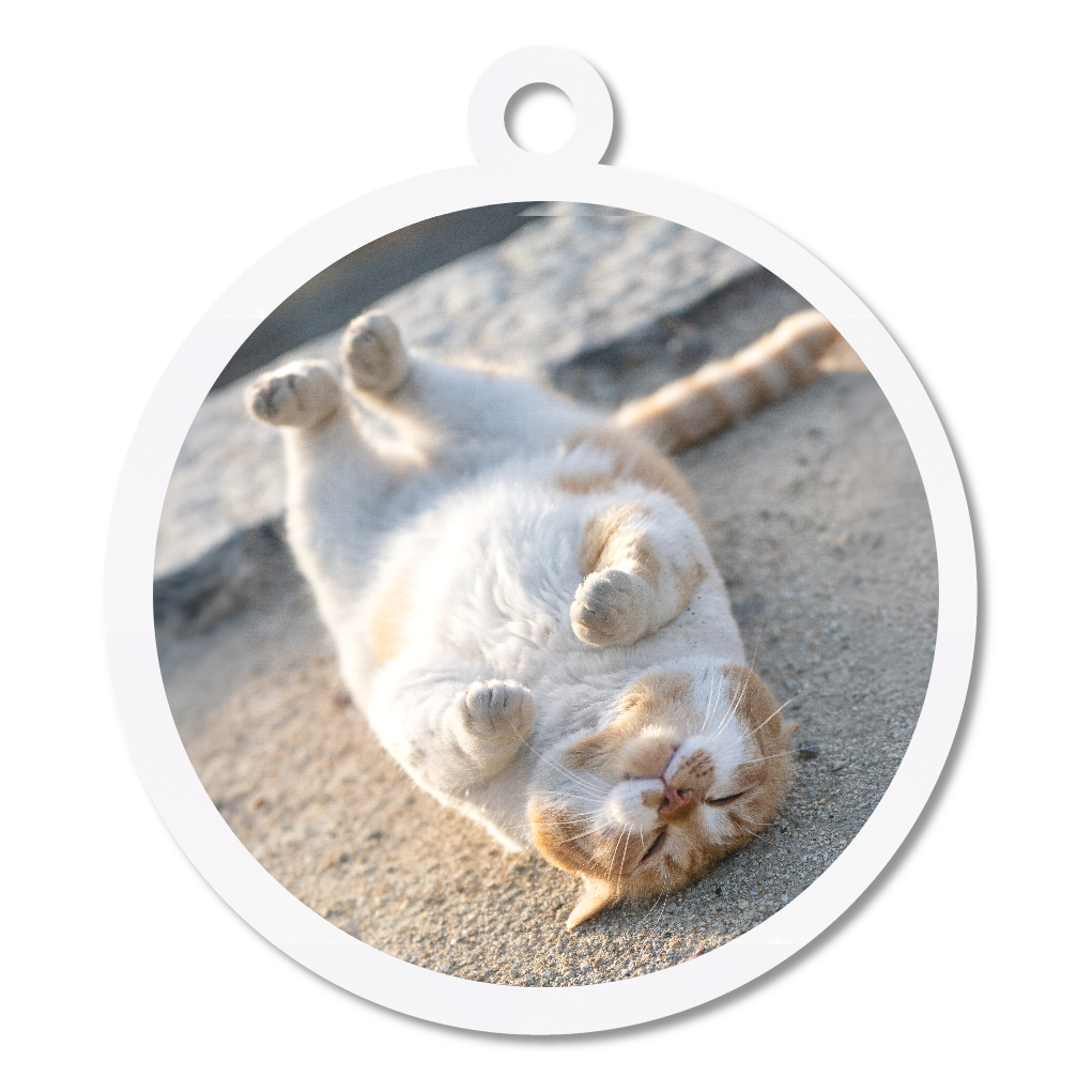 にゃんこまんまるキーホルダー（地球を背負った猫）