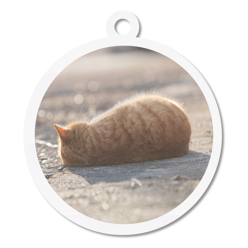 にゃんこまんまるキーホルダー（いなり寿司ちゃん）