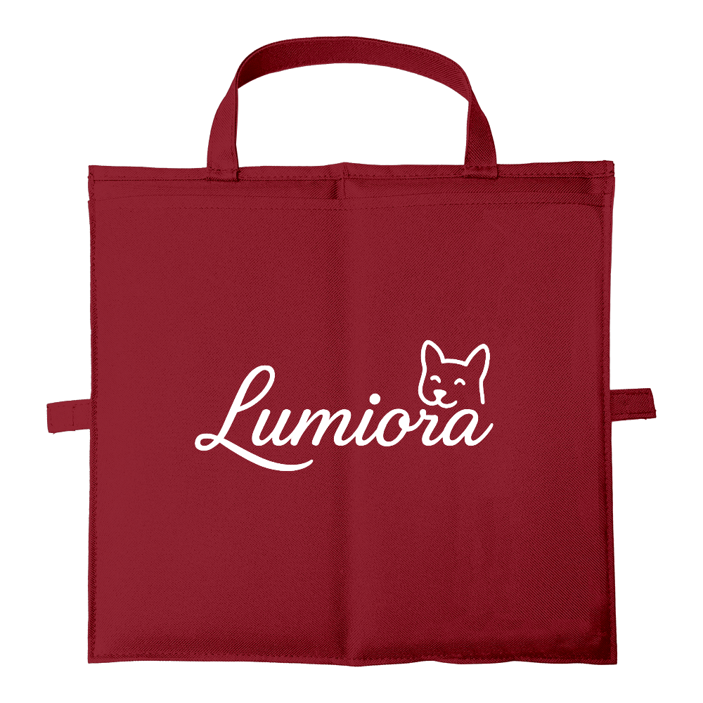 LUMIORA【バッグにもなるシートクッション】