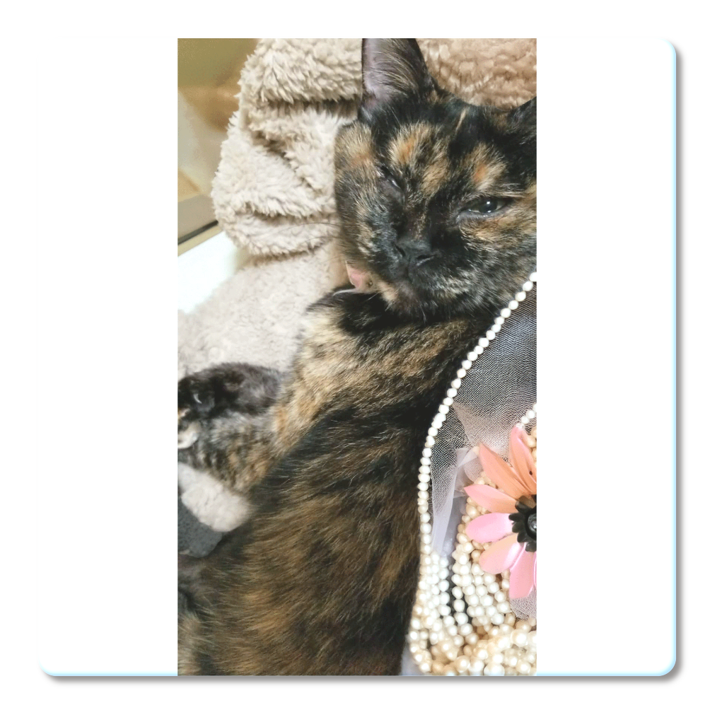 永遠の赤ちゃんリンちゃんお目覚めコースター