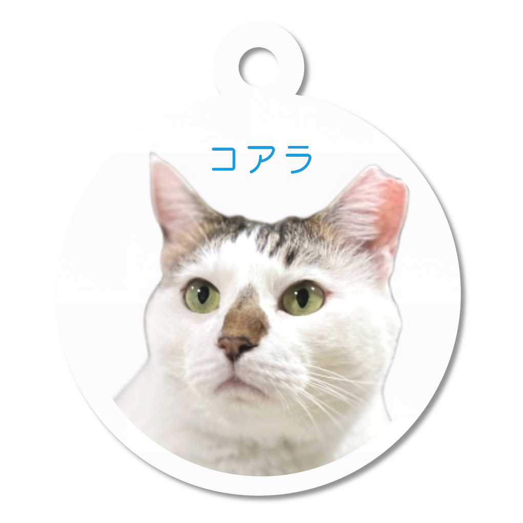 アクリルキーホルダー【コアラ】