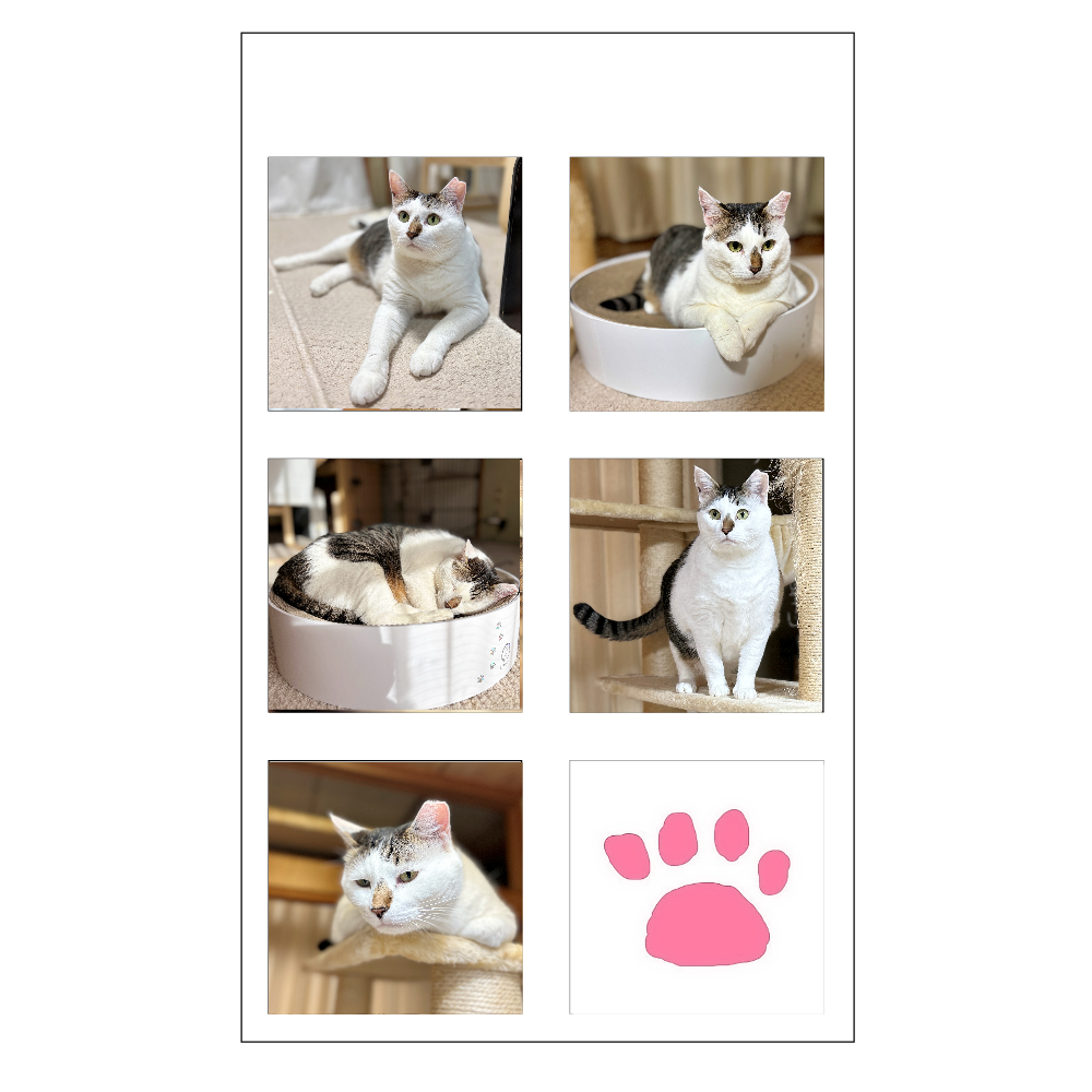 ステッカー【コアラ】