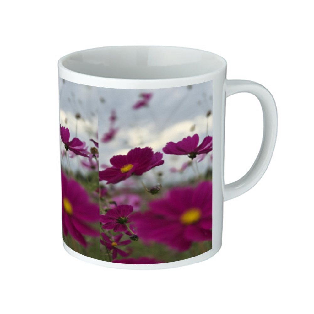 マグ　コスモスと空