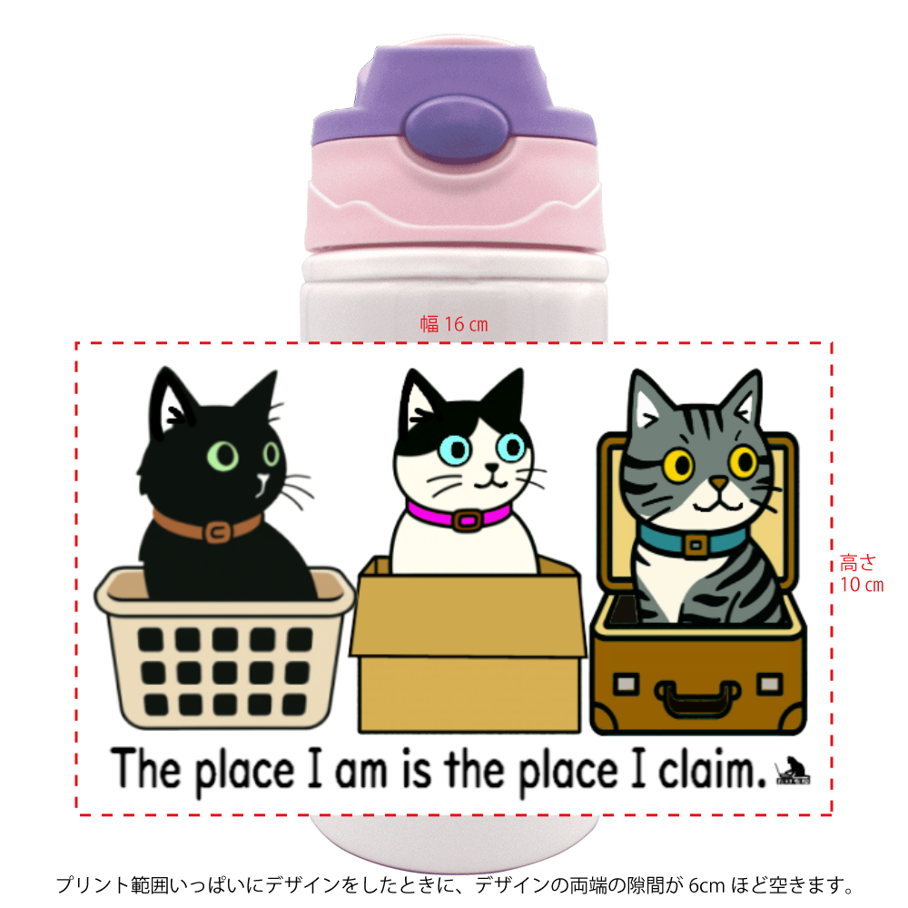 NS2508-03-02(スポーツボトル500ml)