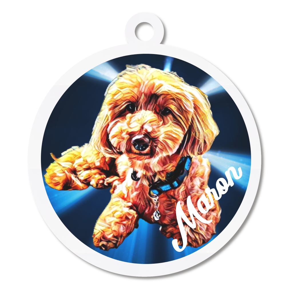 キーホルダー中(円形)1