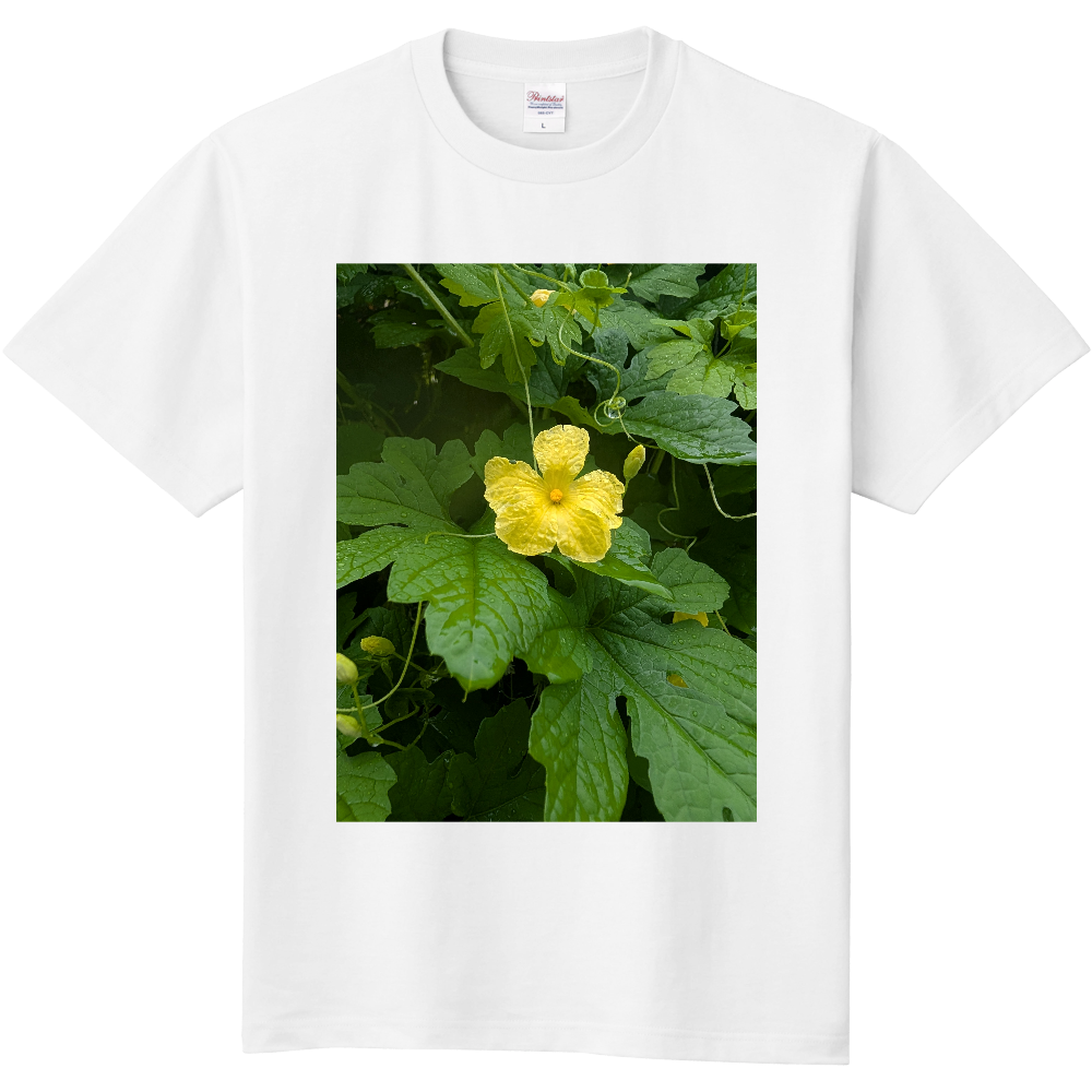 秋の新作「2025年10月26日 20:08」に作成したデザイン