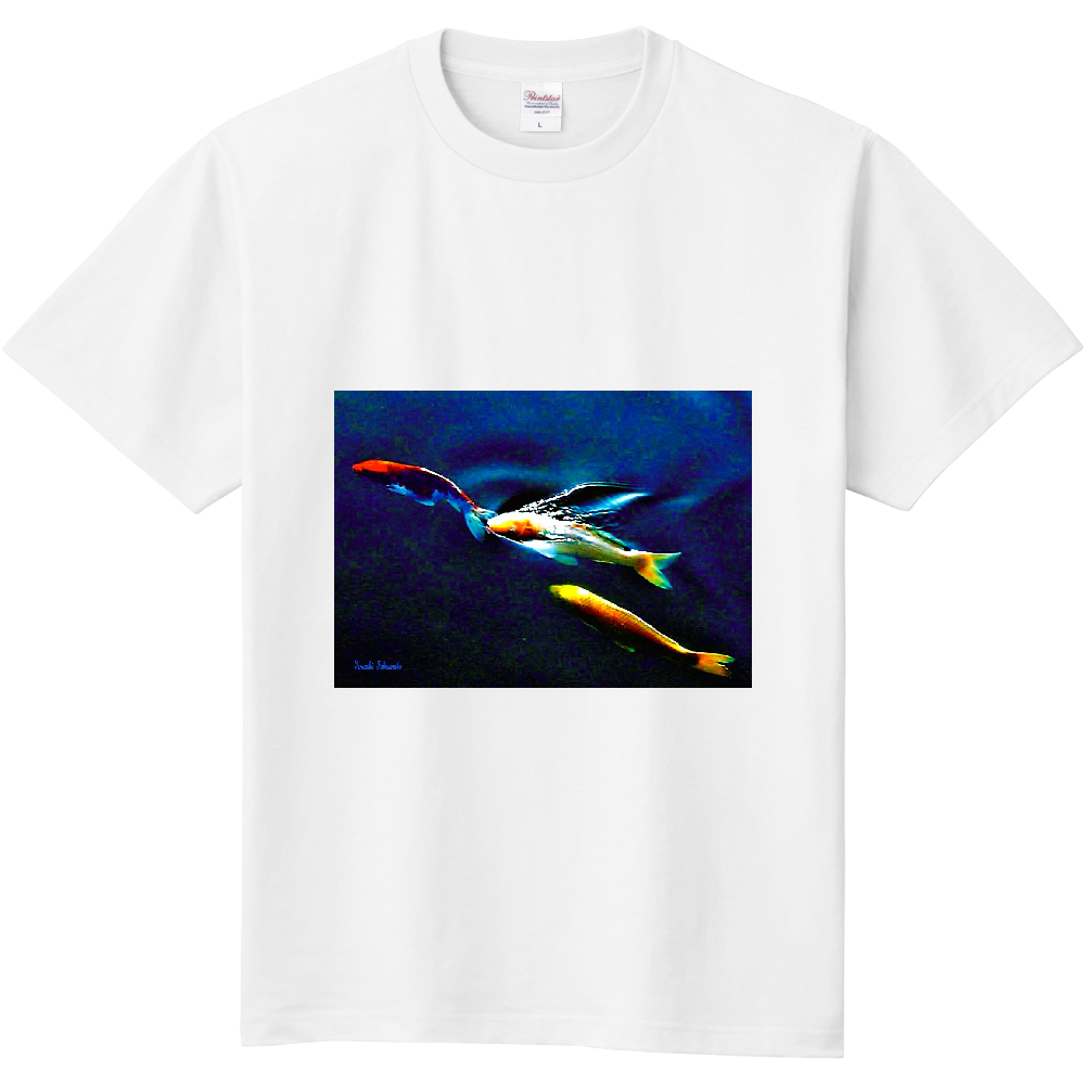 トビウオなった錦コイの爆走