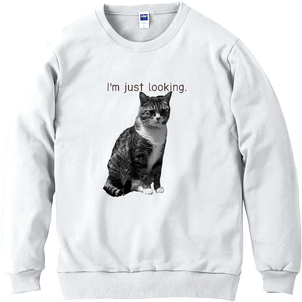 猫じっとみてくる…