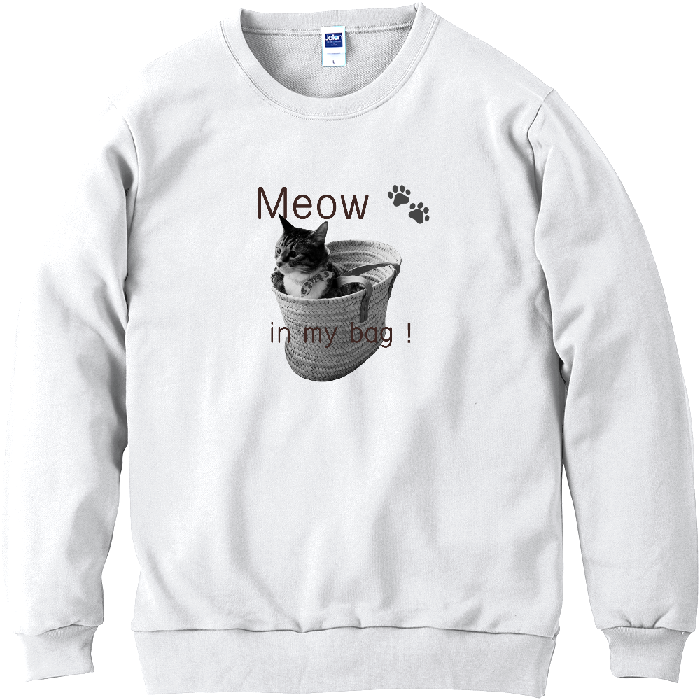 猫の日常  カゴの中に…