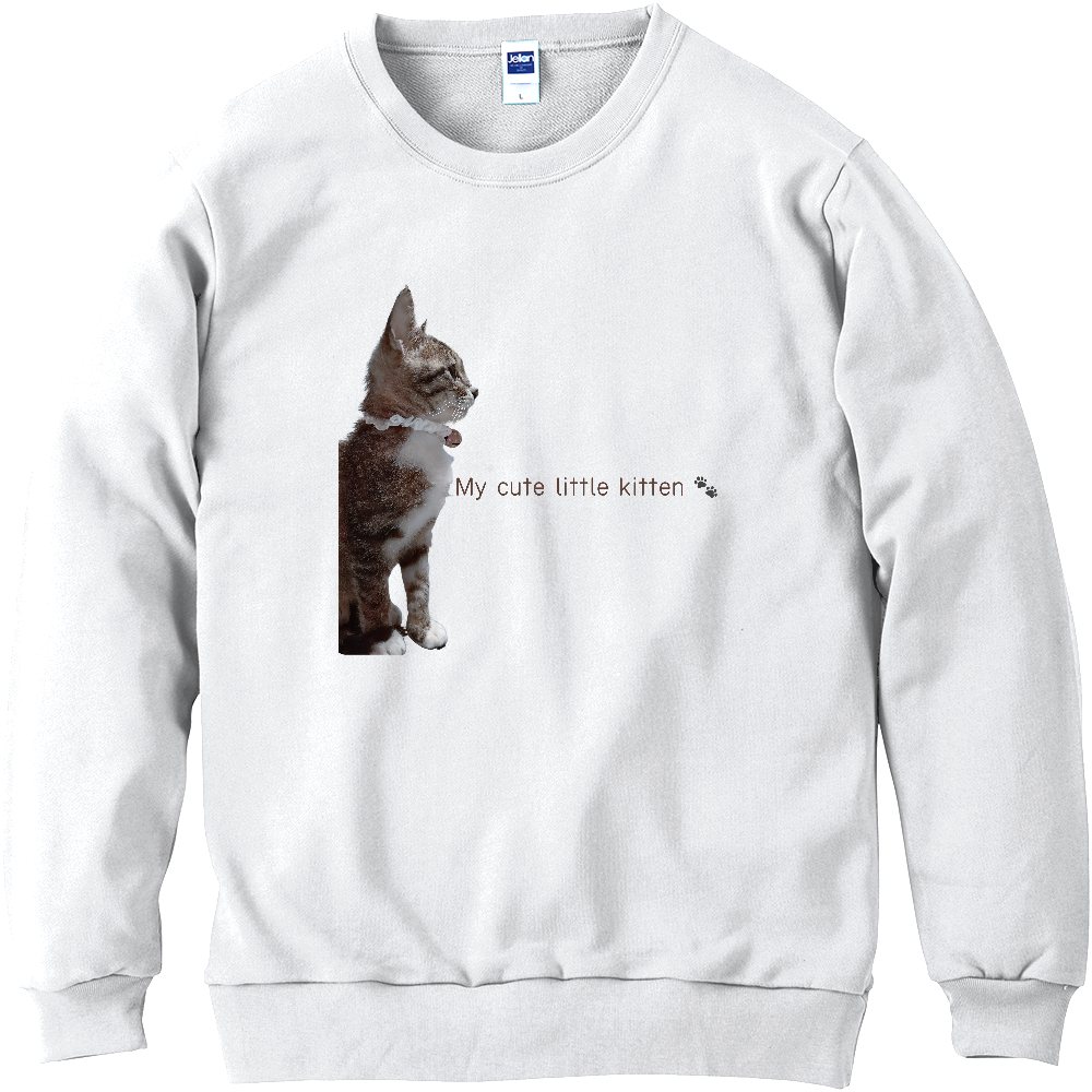 little kitten…可愛い子猫ちゃん