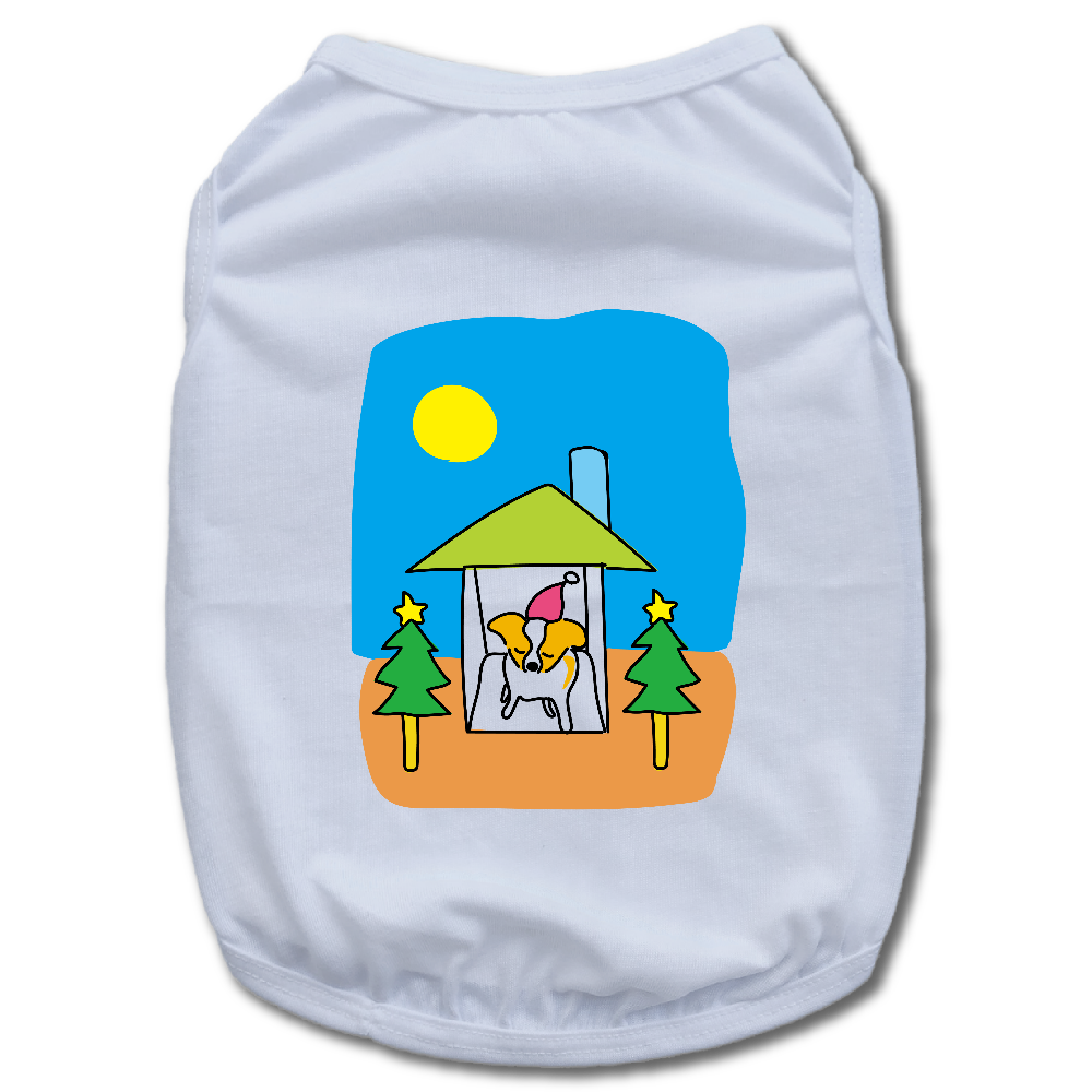 パピヨンちゃんクリスマスバージョン