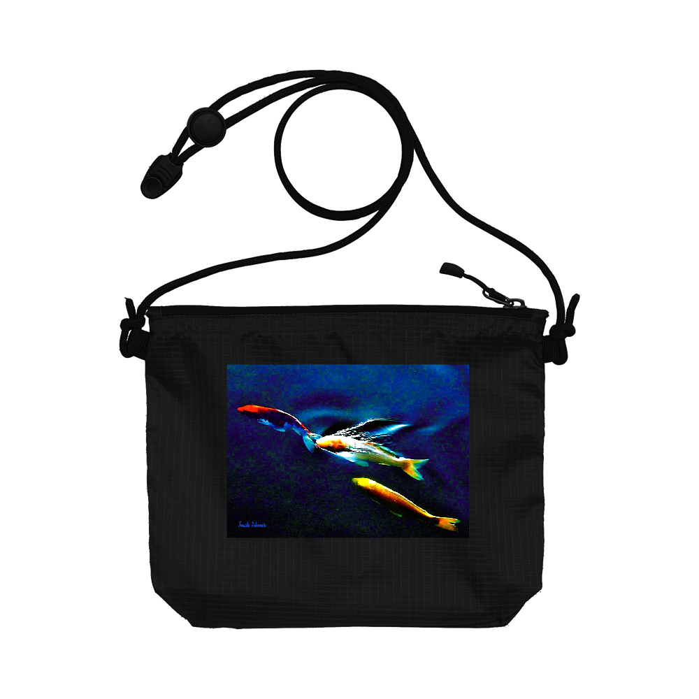 トビウオになった錦鯉の驀進