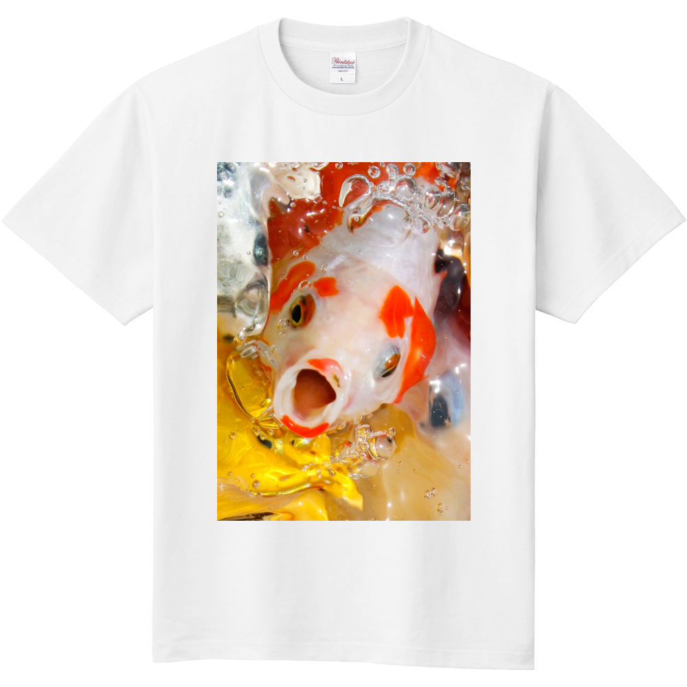 錦鯉の百万ドルのほほ笑み