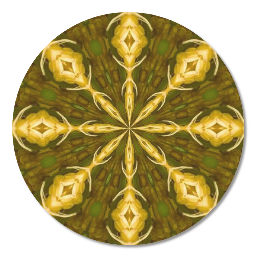 稲穂で描いた米の文字