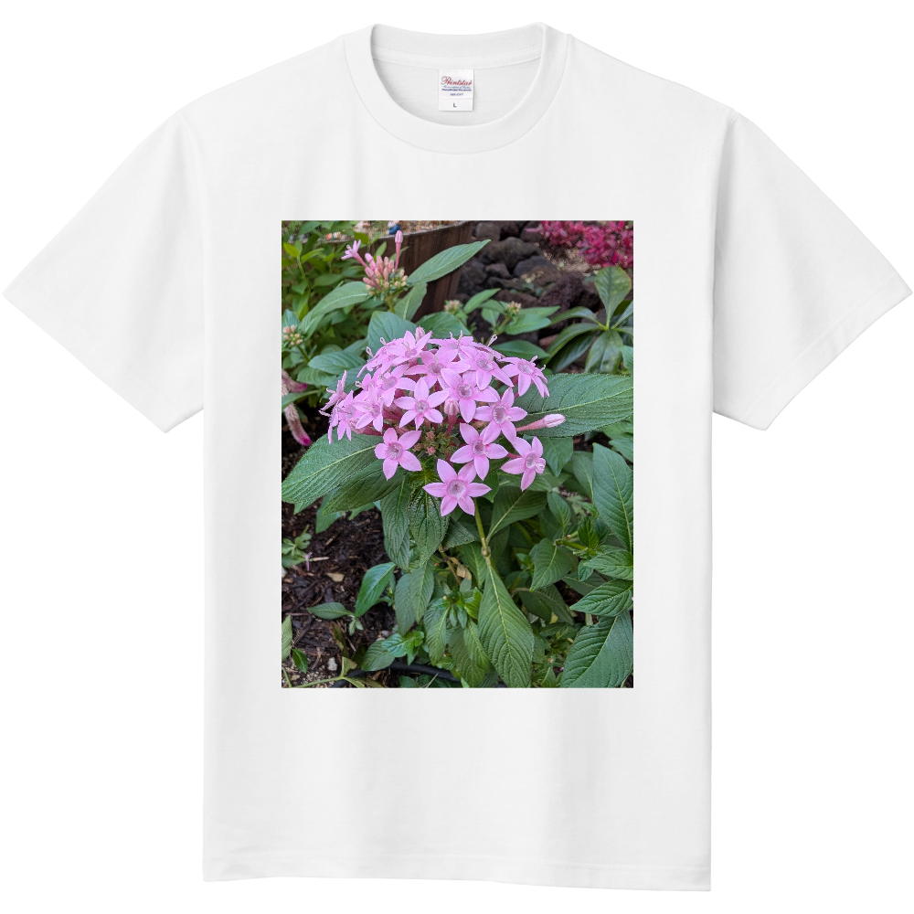   冬の新作シリーズ「花」25‘ 「2025年11月3日 20:47」に作成したデザイン