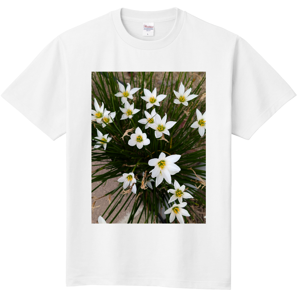  冬の新作シリーズ「花」25‘  「2025年11月3日 21:00」に作成したデザイン