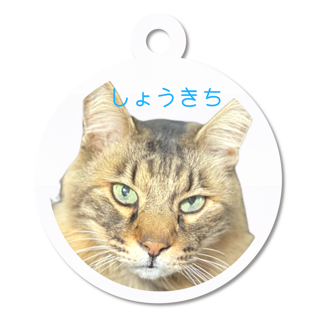 アクリルキーホルダー【しょうきち】