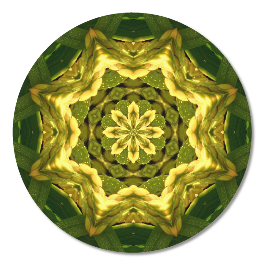 稲穂で描いた米の文字①