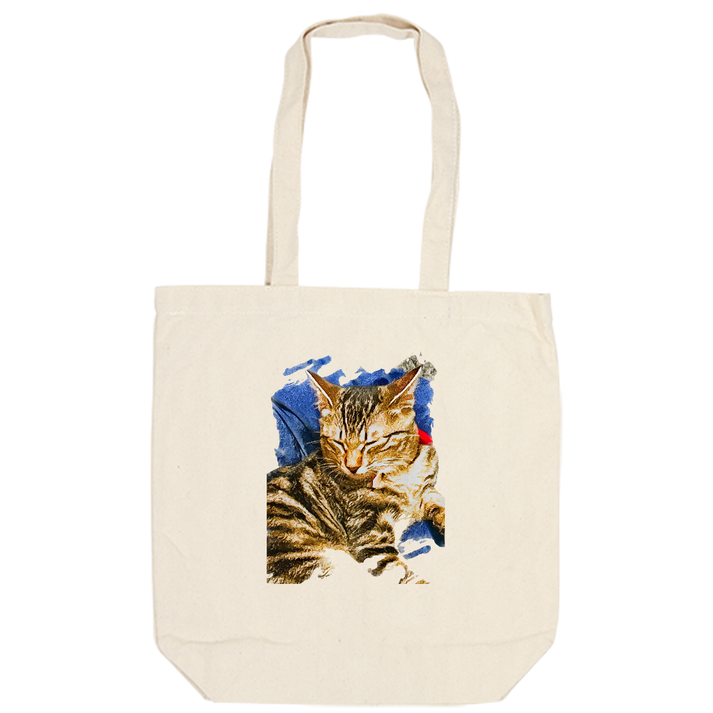 [キャンバスデイリートート(M)] ねこのとら -わたちは眠いの-