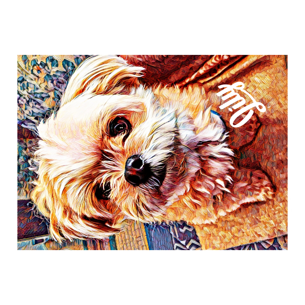 ブランケットМ