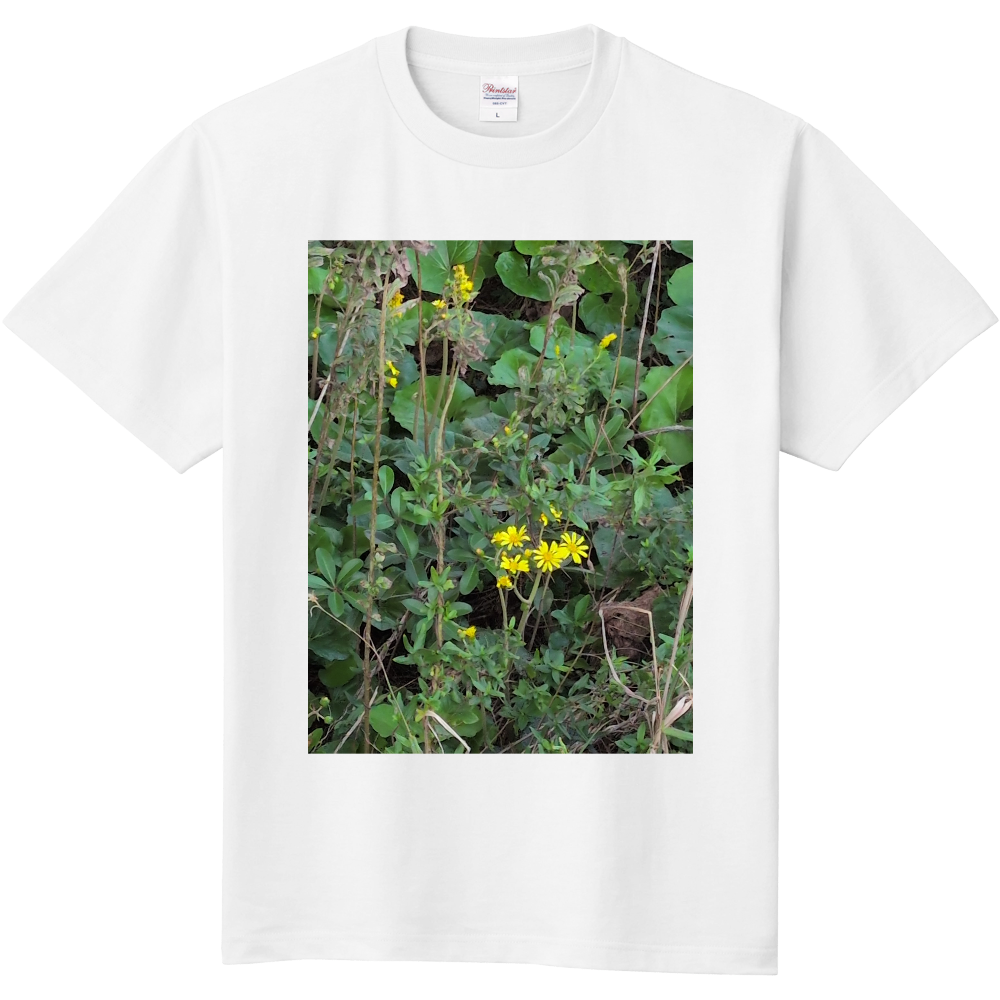   千代崎NOW25‘  「2025年11月8日 12:30」に作成したデザイン