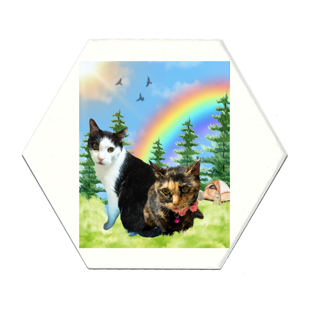 白雲石入り吸水コースター (六角)