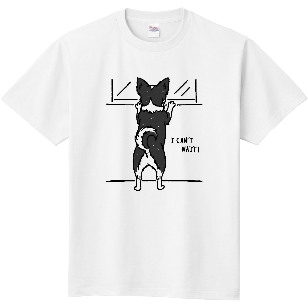 ただいまを待つチワワくん