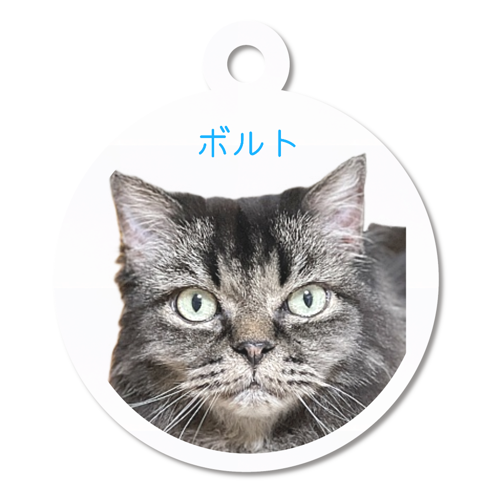 アクリルキーホルダー【ボルト】