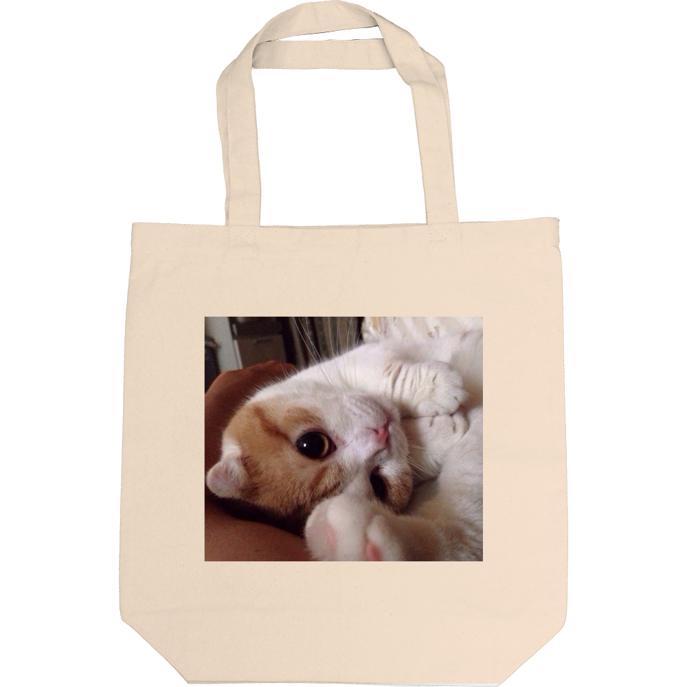 にゃんこトートバッグ