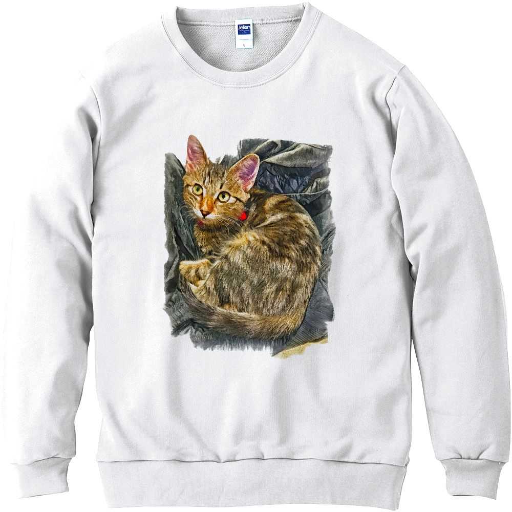 [スウェット] ねこのとら -にゃに？-