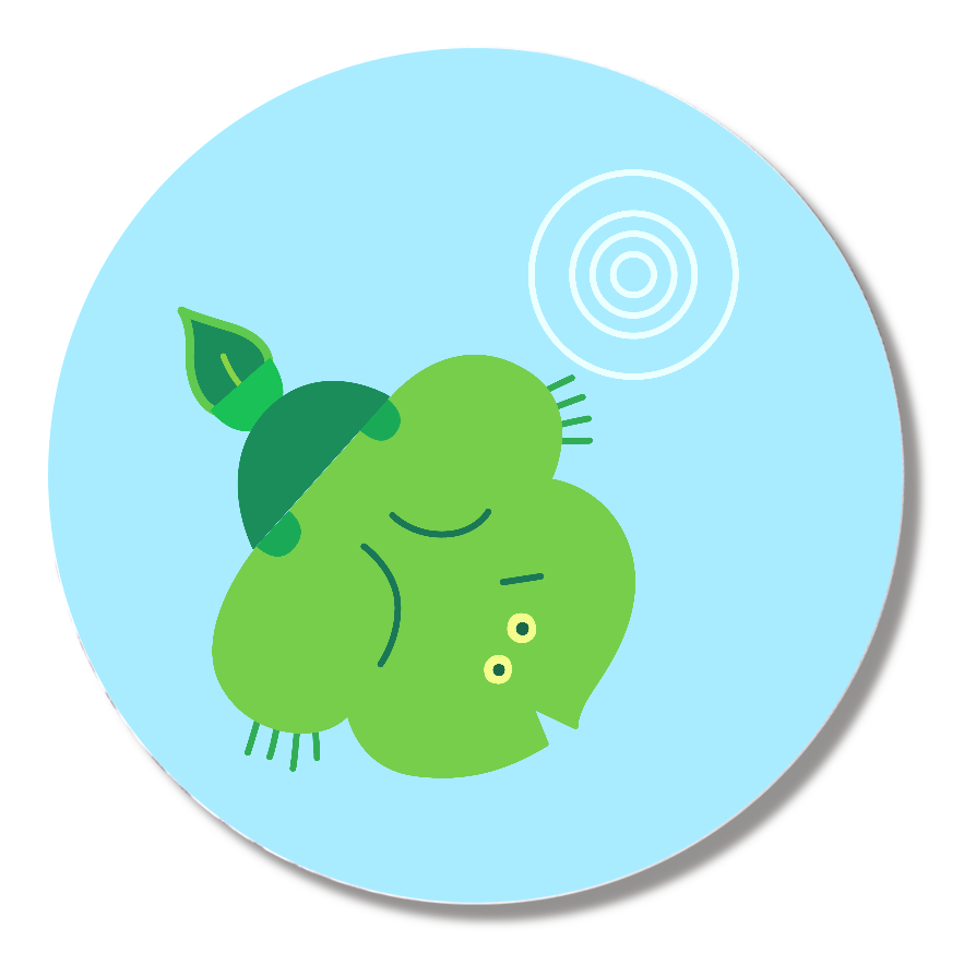 テマキノタネ 20