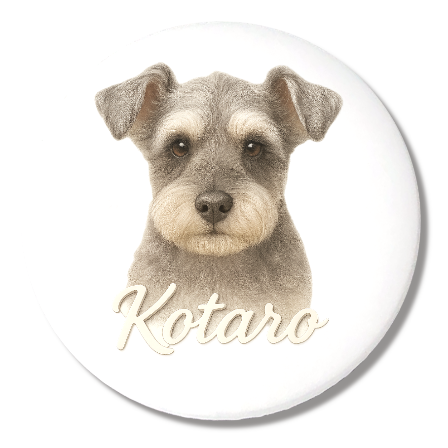 虎太郎 Kotaro 応援缶バッチ