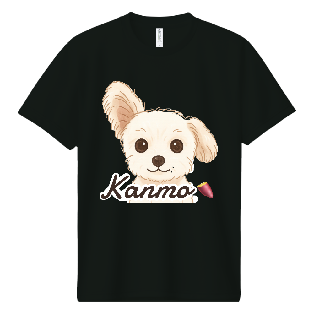 kanmo ロゴドライT