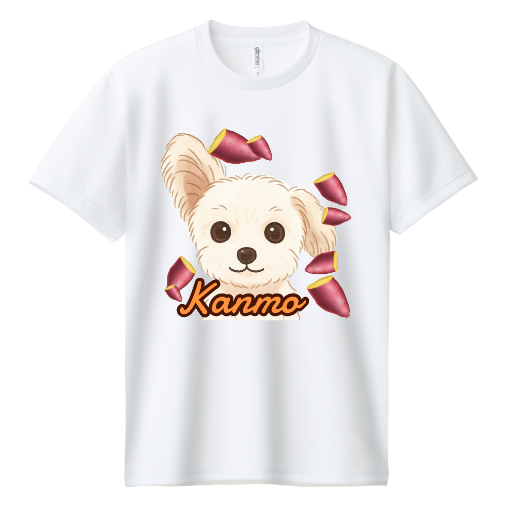 kanmo イラストドライT