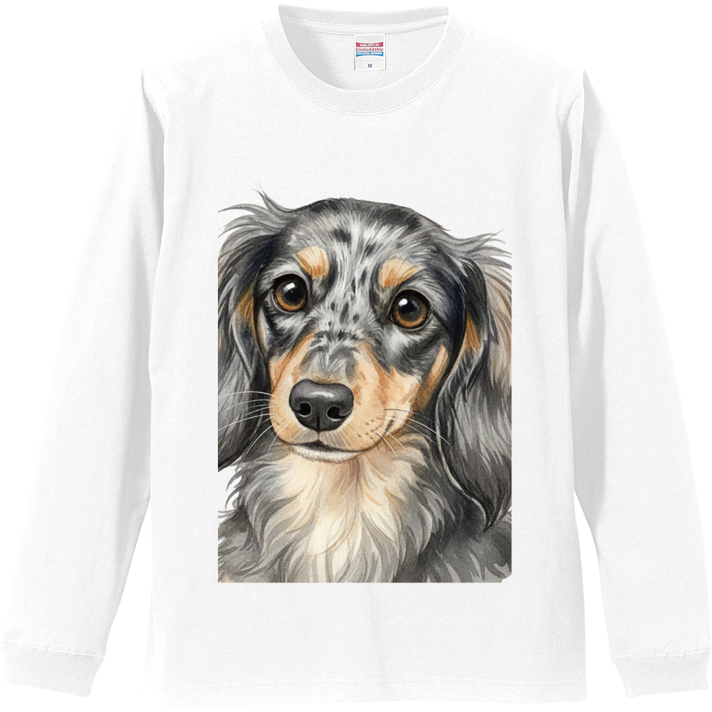 ダックスシャツ