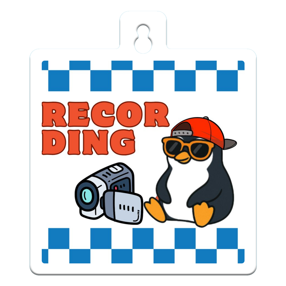 カーステッカー/ドライブレコーダー搭載デザイン