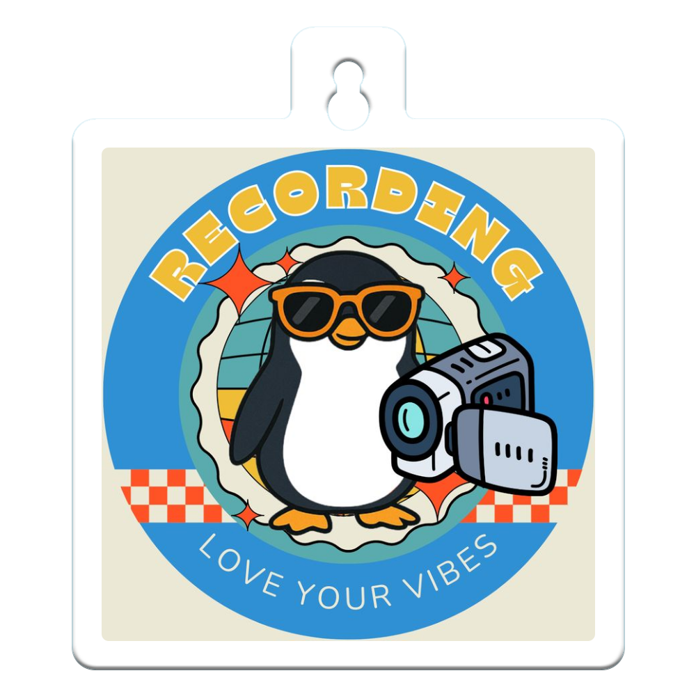 カーステッカー/ドライブレコーダー搭載デザイン