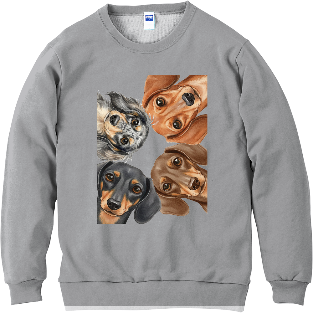 ダックススエット