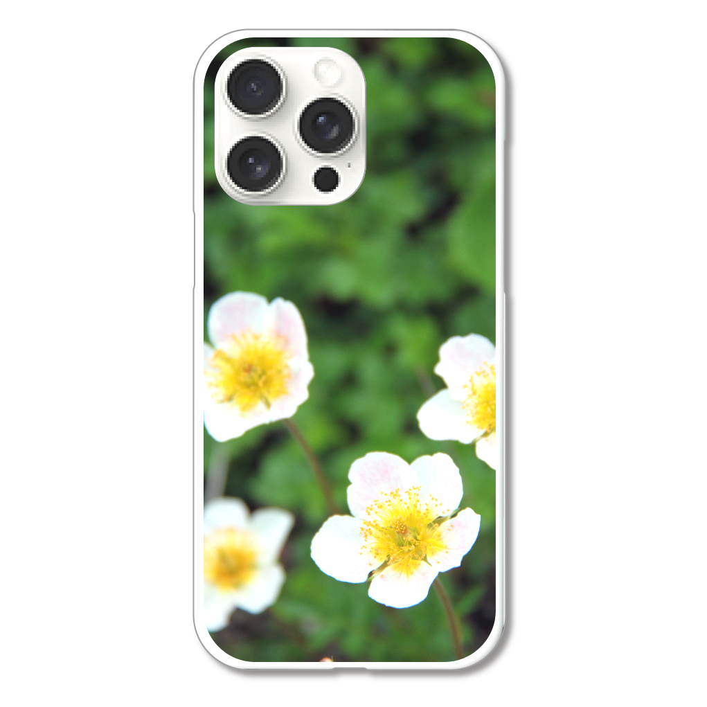 立山チングルマ iPhone15 Pro Max (ハードケース)