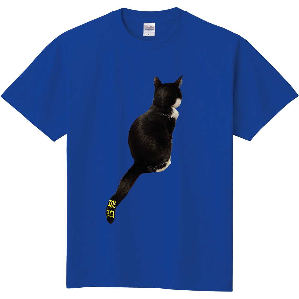 【ハチワレ】琥珀 後ろ姿